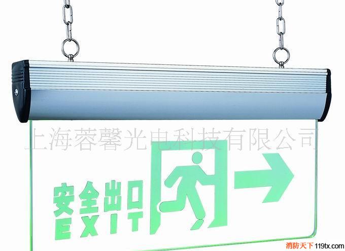 C2型消防應(yīng)急標(biāo)志燈牌，應(yīng)急疏散指_1