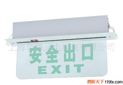 C04型消防應(yīng)急標(biāo)志燈牌，應(yīng)急指示鷗_1