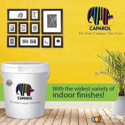 內圣外王,環保功能涂料德愛威引領水性涂料風潮