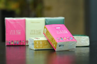 竹漿紙原生態竹妃熊貓工坊九本環保紙產品拍攝