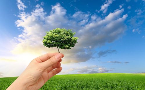 今年的環保力度為什么這么大