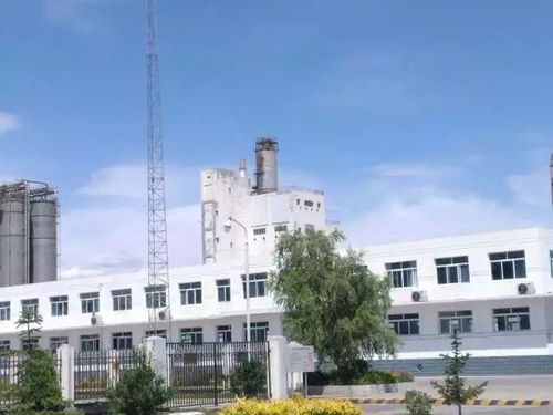 美麗工廠,我是行動者