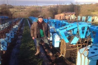 地里種出來的綠色環保椅 你肯定沒見過