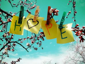 壁紙 自然好心情,親們可以自己加文字哦... 意境 唯美