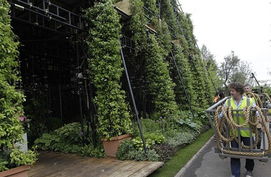 園藝師造24米高 魔法塔 花園 登頂者大呼過癮