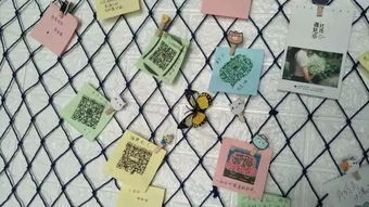 抖音同款撩漢把妹神器上線，助力社交環保新風尚